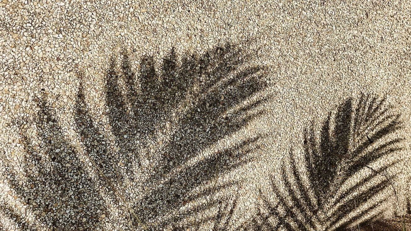 Tropical sunset in Hawaii